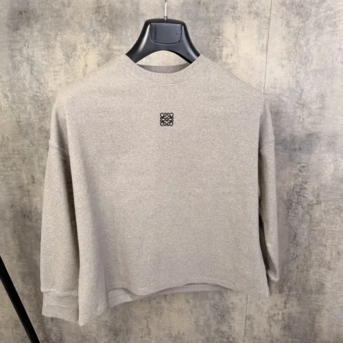Loewe sweatshirt